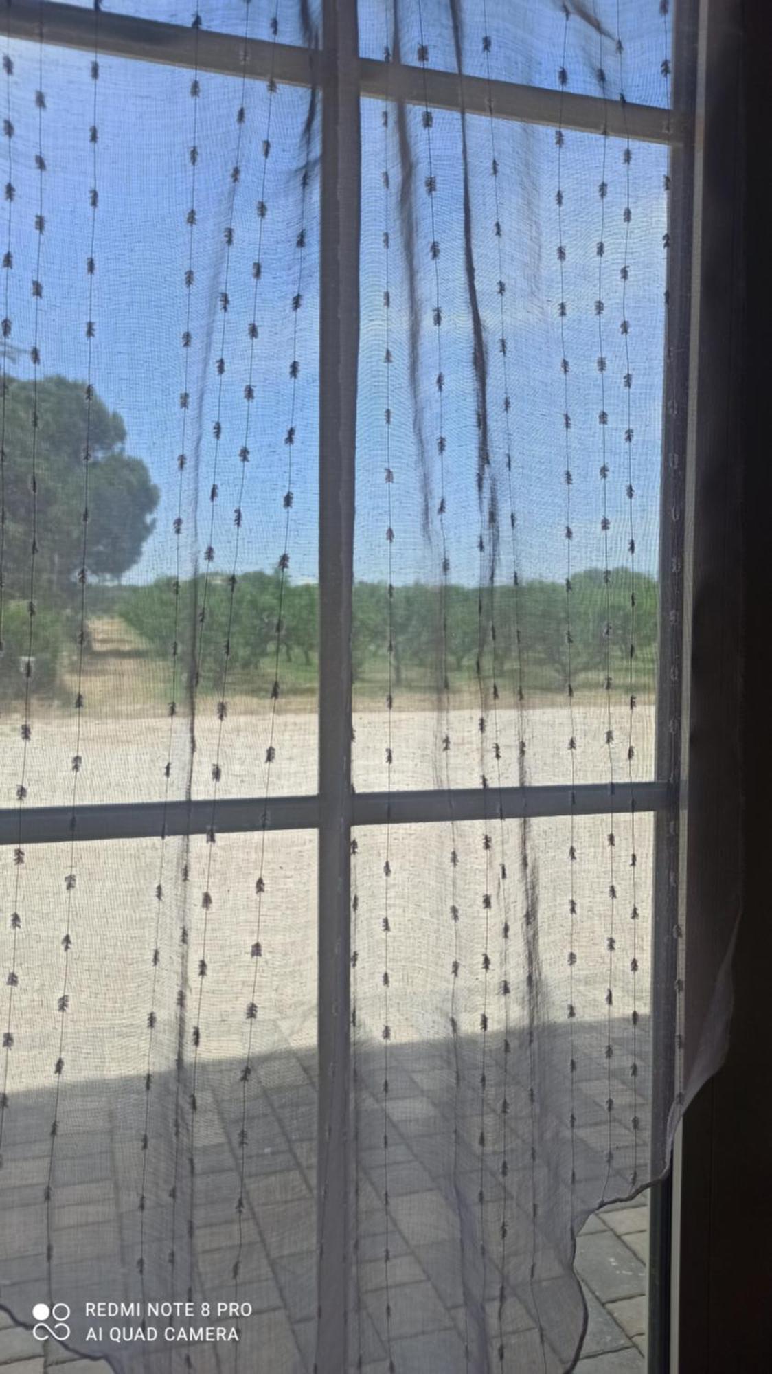 Agriturismo L' Annunziata Lizzano  Ruang foto